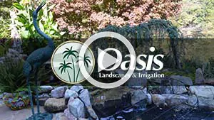 Oasis Video testimonial