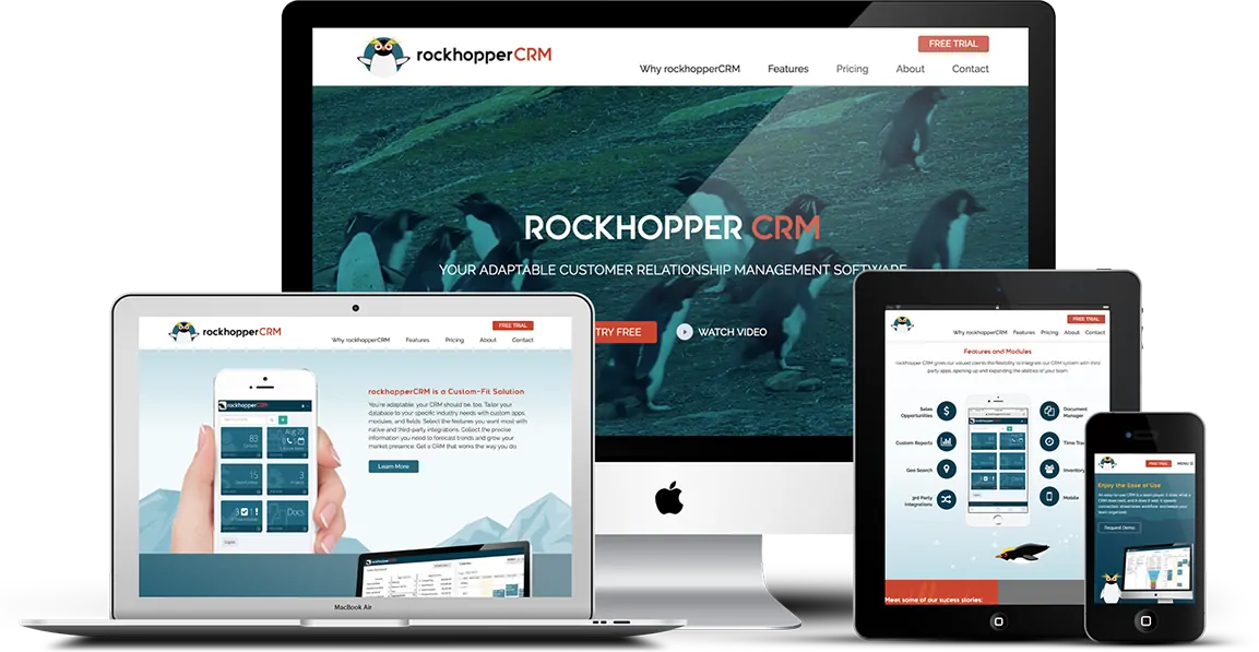 rockhopper image