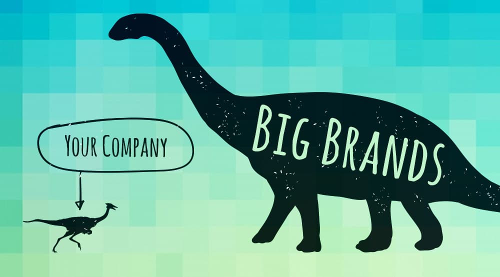 how to compete with big brands