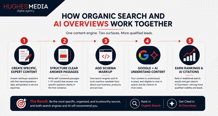 How organic search and AI overviews work together